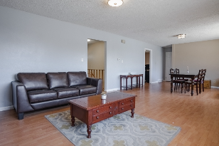 2510 Royalty Ct , Colorado Springs , CO - 80904